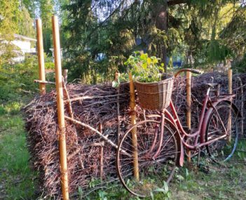 Risuaita rajaa metsäpuutarhan muusta pihasta.